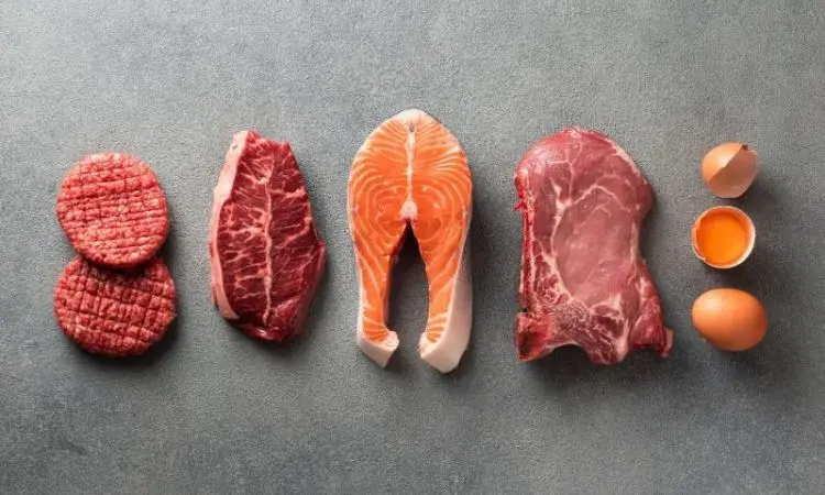 Exploring the Carnivore Diet Food List, Navigating an Animal-Based Eating Approach